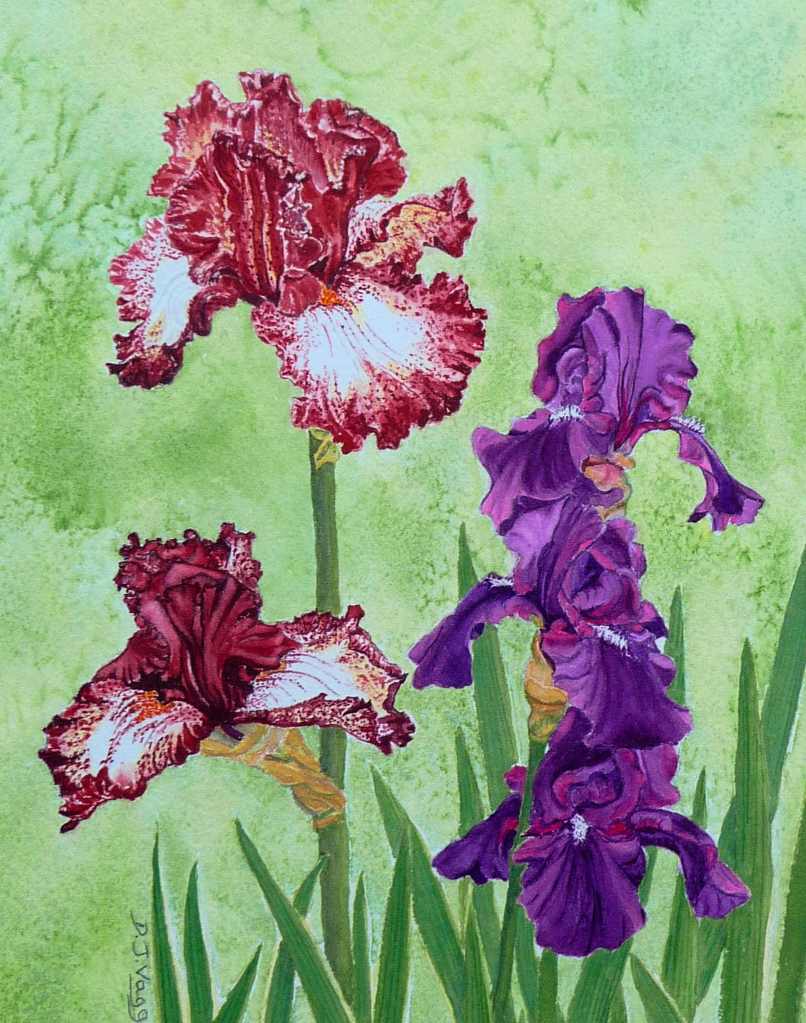 DV401.garden companions