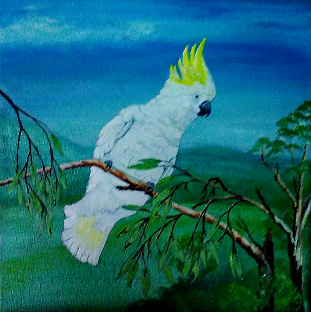 Cockatoo Acrylic Sold